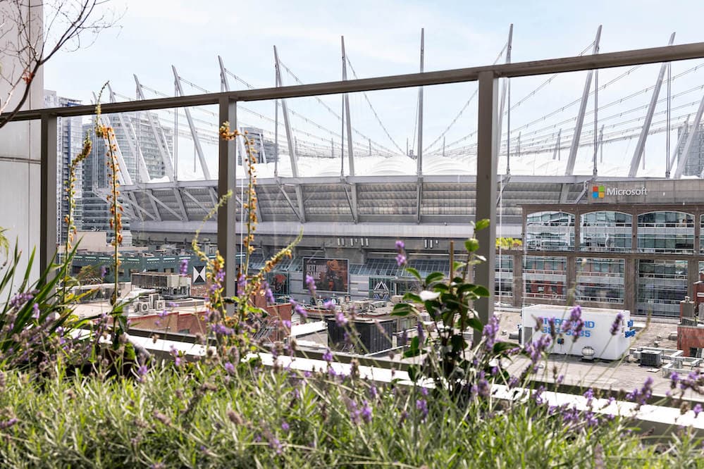 Llano 885 Cambie Web-8