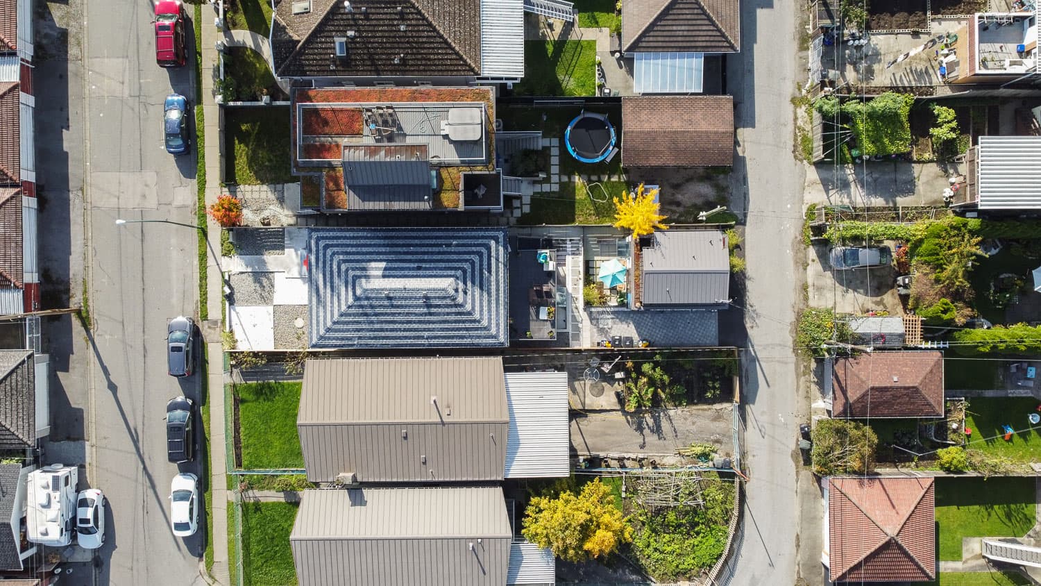 Bird View1